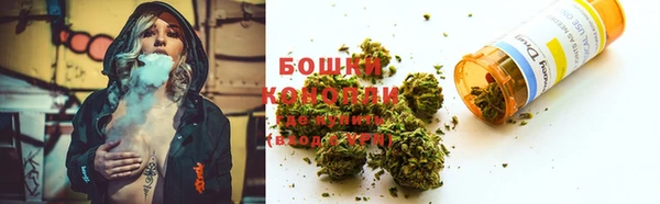 ПСИЛОЦИБИНОВЫЕ ГРИБЫ Карталы