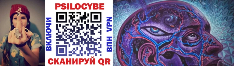 Галлюциногенные грибы Cubensis  Купить закладки  Змеиногорск 
